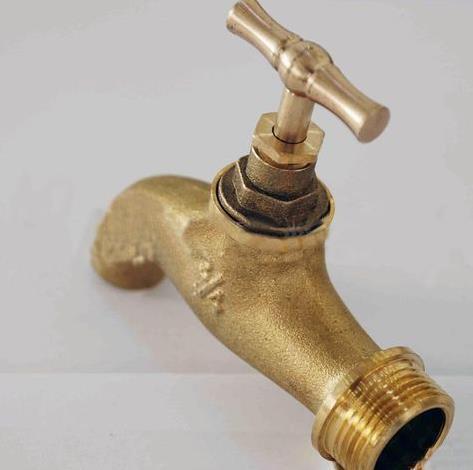 t01ddcd6f939065fcb3.jpg