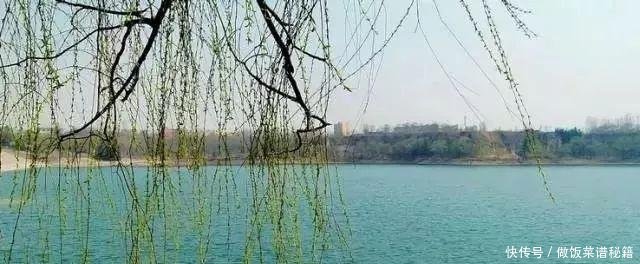 无烧烤不春天!郑州10个烧烤野炊好去处芭上这些情趣饶有花圃图片