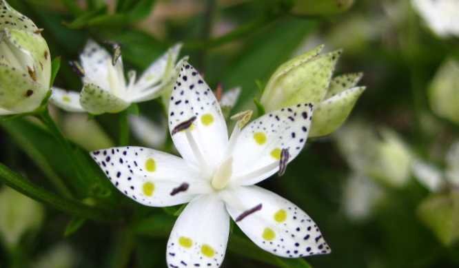 t01df2568722e76ff13.jpg?size=666x389