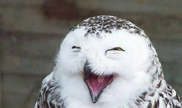 40岁的男人,血压正常值应是多少?