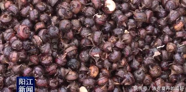 合作社注册商标