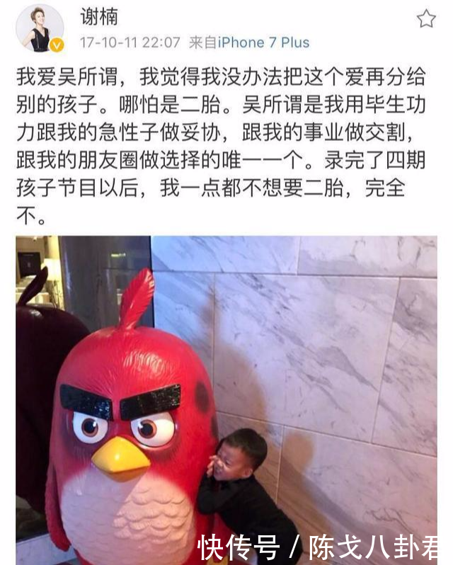 谢楠公布怀二胎喜讯,可网友却扒出她去年说的