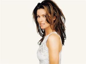 人物简介 中文名:仙妮亚·唐恩外文名:shania twain 别名:仙姑,the