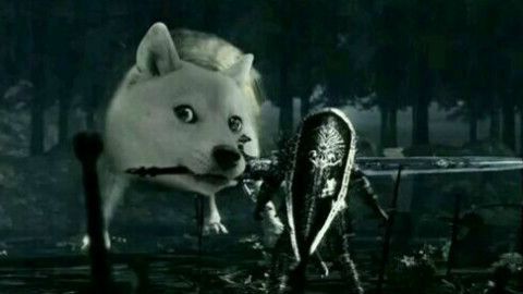 《黑暗之魂3》法兰不死队背景故事说明 法兰不死队不带盾原因解析