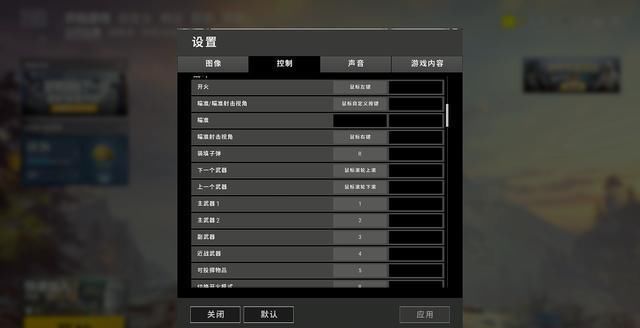 绝地求生:吃鸡看不到人?画面很卡?落地看不到
