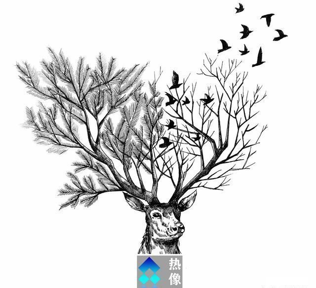 热像仪的黑夜之魔,大立科技为什么被社保基金