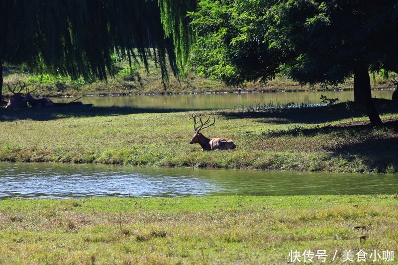 曾是中国最大的湖泊，面积相当于10个青海湖