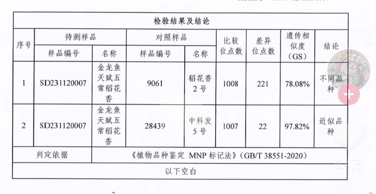 六角金龍魚怎么養(yǎng)（六角金龍魚怎么養(yǎng)才能活得長久一點）