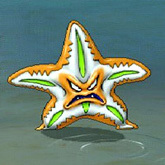 魔法之星.jpg