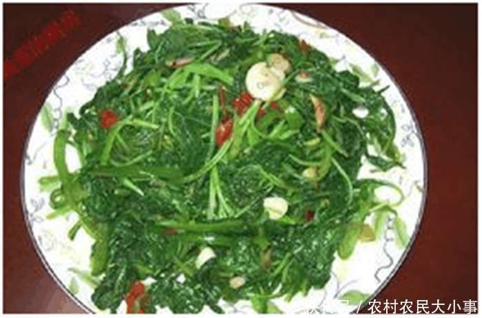 农村的一味珍贵野菜, 被猫踩过, 价格奇贵, 营养价值极高