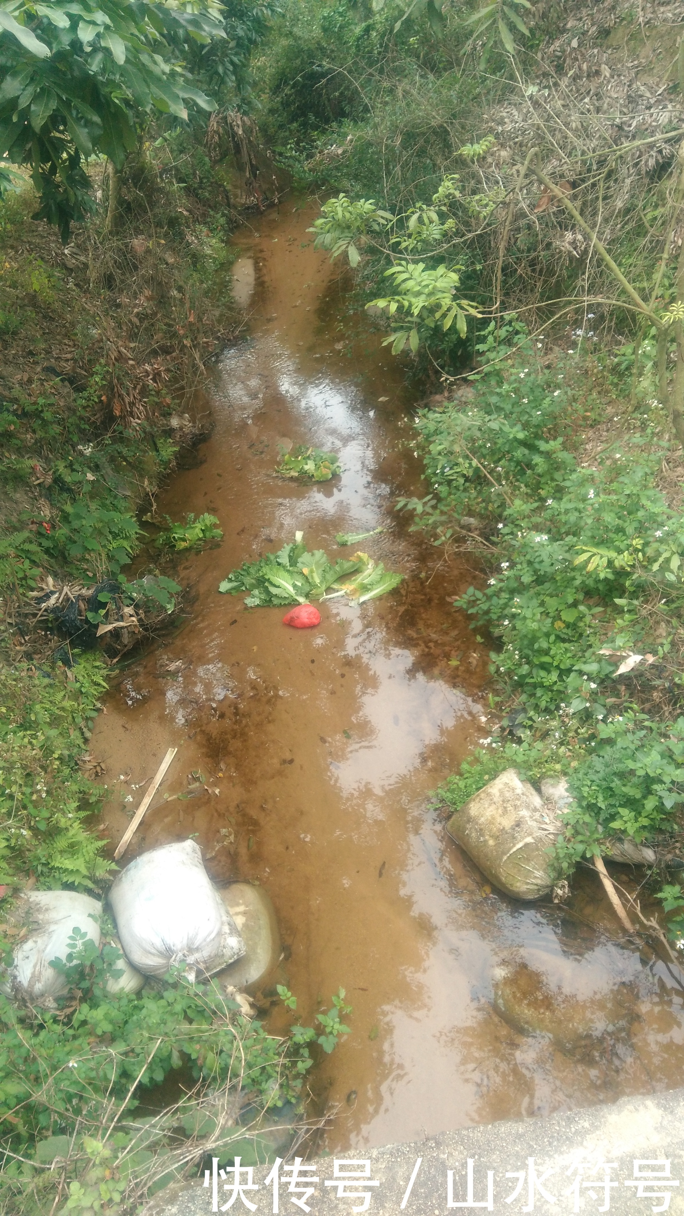 春节后的农田景象广西浦北县白石水