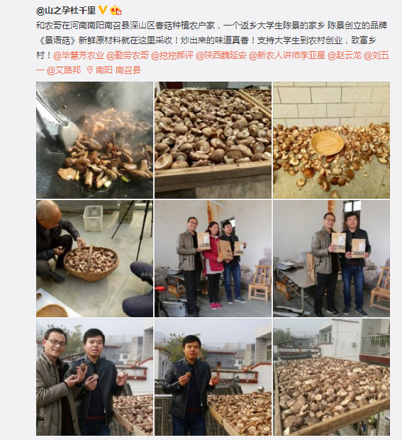 新农人大V们平日里自媒体都发布些什么内容?