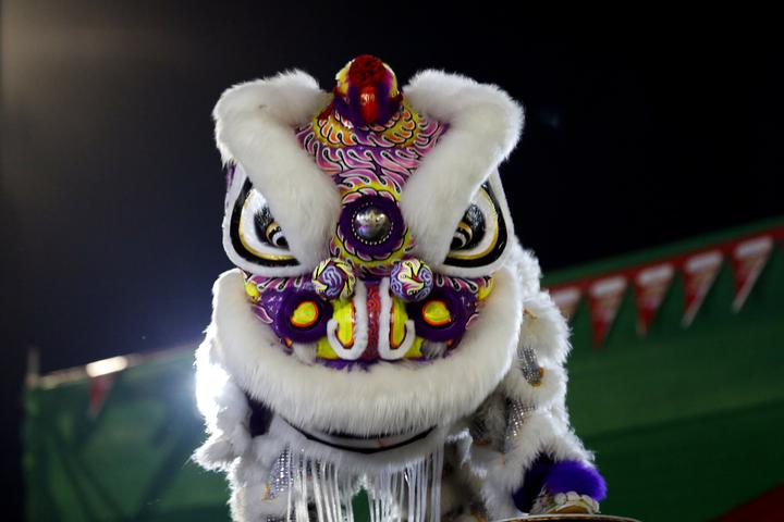 看世界丨普京\"狗狗年历\"庆中国狗年 巴黎\"包拯\"抢镜头