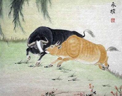 会用钱把老婆宠坏的三大生肖老公,买车买房都