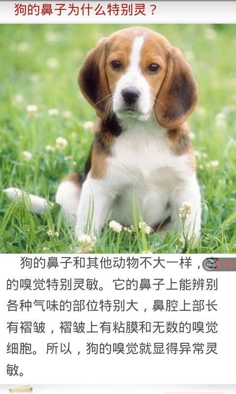 t01ef1dca00505f97cc.jpg