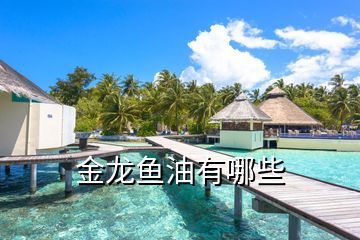 桐鄉(xiāng)市梧桐鴻大水族館（桐鄉(xiāng)梧桐大酒店地址）