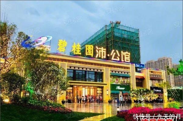 碧桂园投诉电话