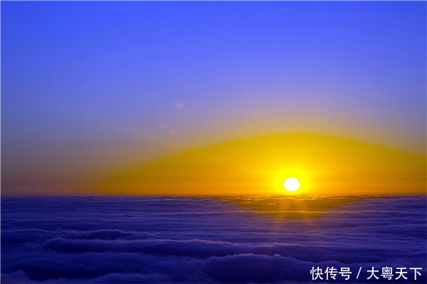 五一四天假期,广东连山金子山盛放满山杜鹃花