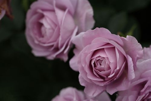 t01f3d6e0b9081de148.jpg