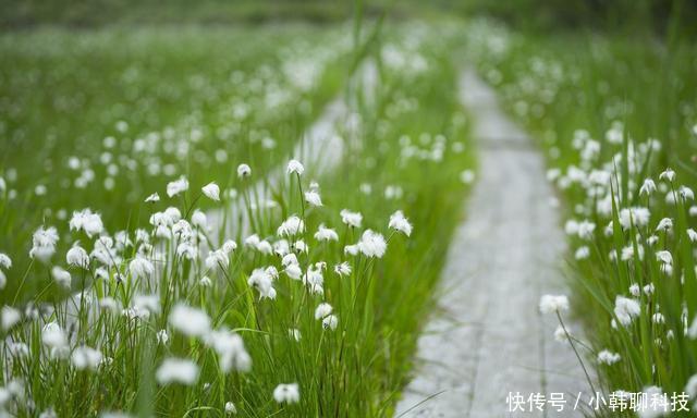 每日感悟分享:一念改过,即得本心!