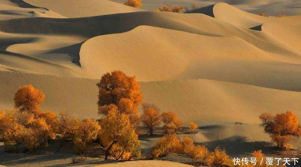 降雨量毫米是什么概念