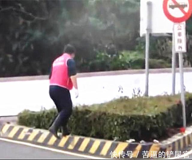 流浪狗难产遭人驱逐,绝望躲矮灌木生产,暖心大