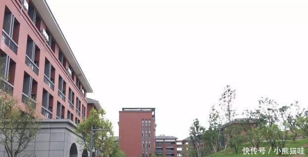 四川将高铁、公司、学校往这里搬,原来成都要