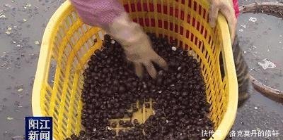 合作社注册商标