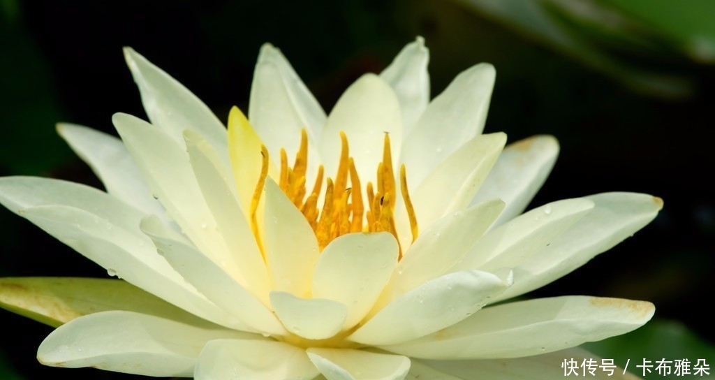 什么都没有我都喜欢