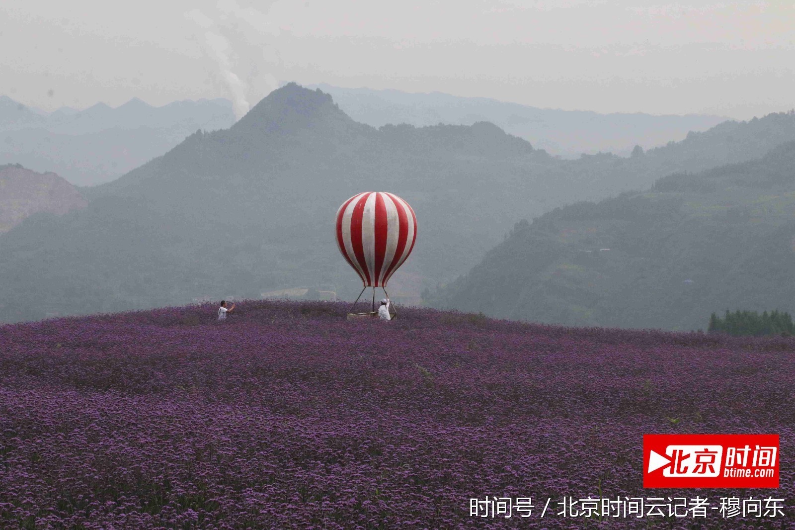 桐梓娄山关万亩花海风景美如画