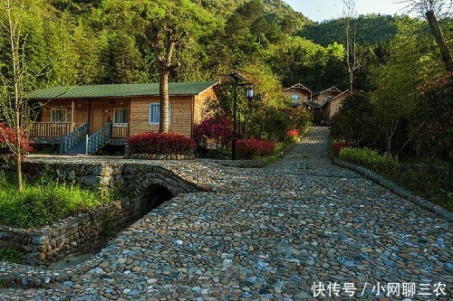 农村有几个创业项目,潜力大,市场前景好,现在干