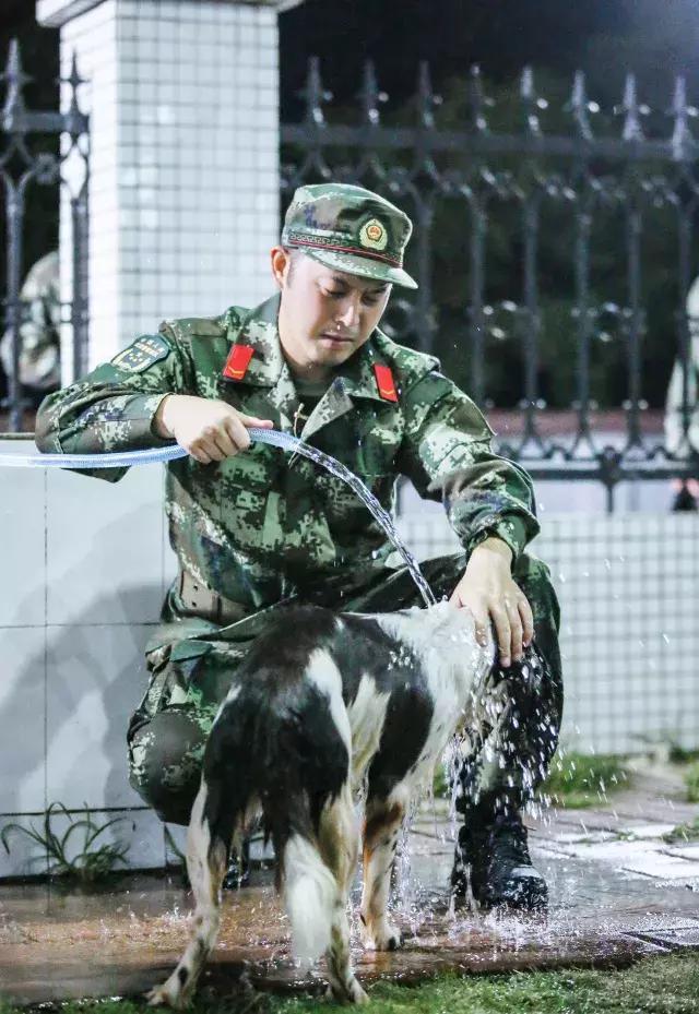 奇兵神犬》如何突破思维桎梏、升级军旅题材