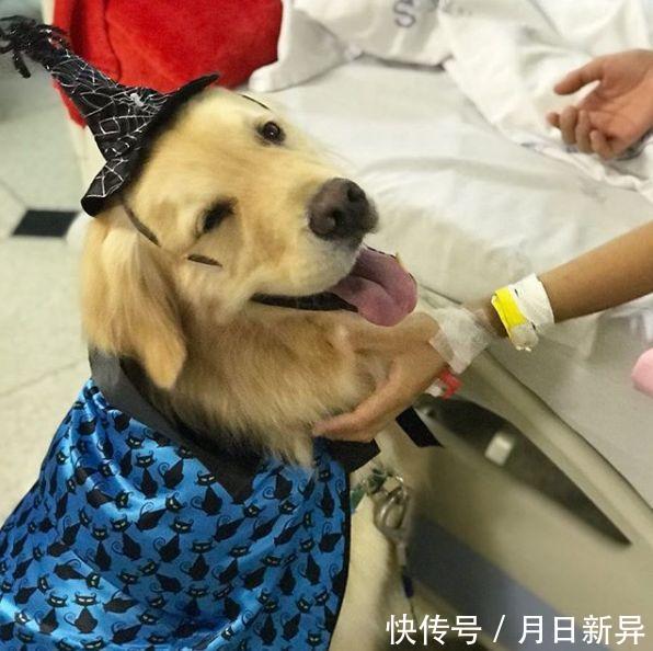 疗养院是干什么的