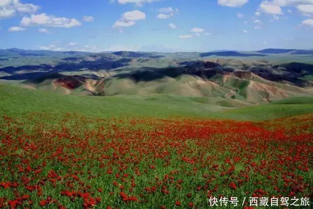 巩乃斯大草原，天山深处的“伊甸园”，一年四季都美得惊人！