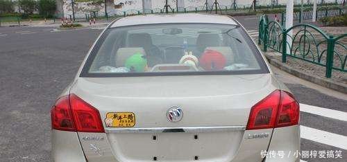 驾照实习期被扣12分,可以等实习期过了再处理