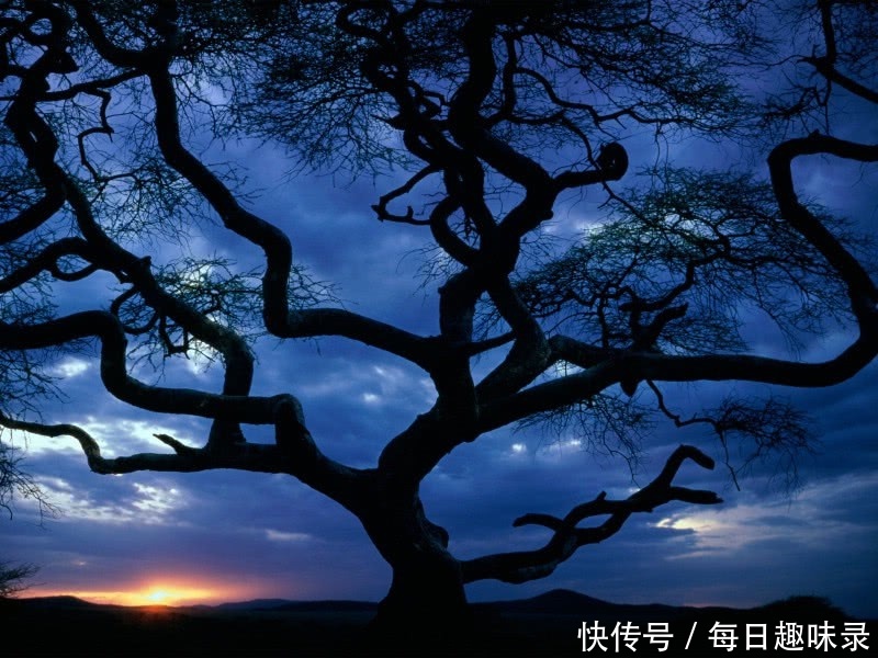 财神要来,谁都挡不住!未来5天之内,3大生肖被财神点名要发财