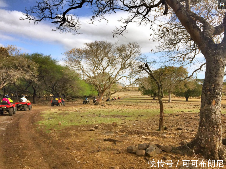 全球最“牛”国家，当地居民饿死不种地，中国人去后竟变这样