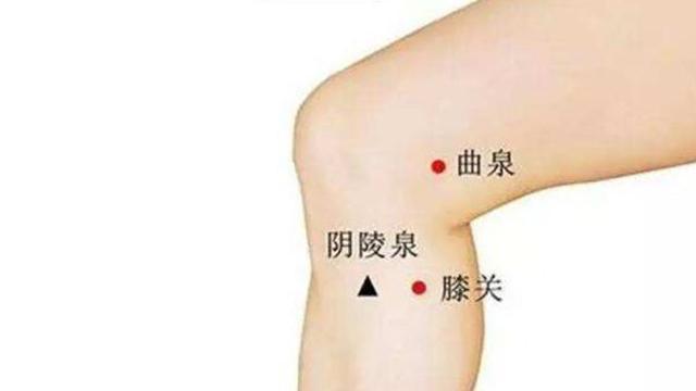按什么穴位对肝有好处 t01fbd869a4e56458d6.jpg