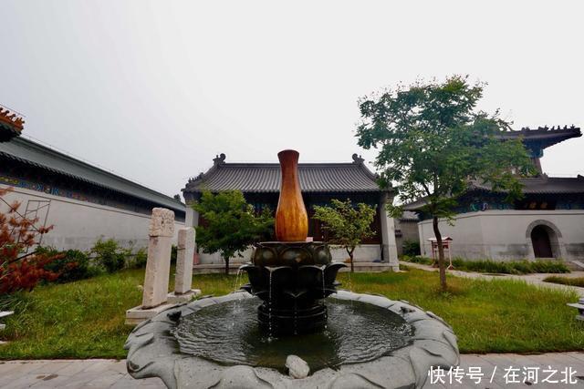 菩提岛 菩提树下 海风拂面 任天地在胸中激荡