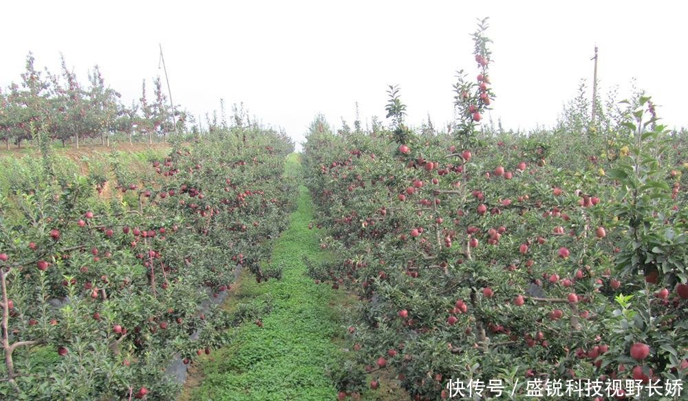 t01fdfeee0e09d6faa4.jpg?size=1000x584