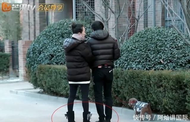 章子怡汪峰在小区里遛狗,当看清她脚上这双鞋