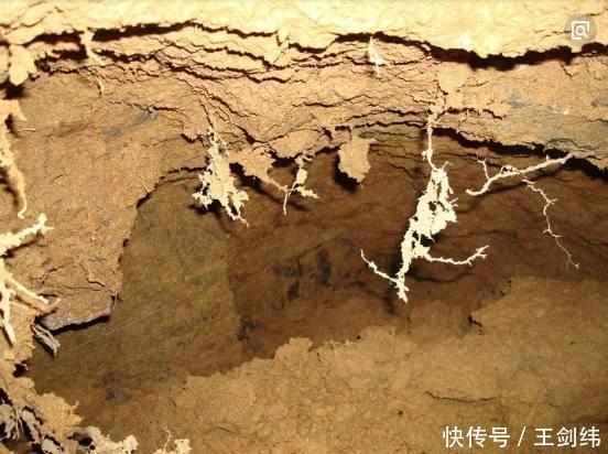 湖北发现一座神秘古墓,考古学家发现里面竟葬身80余名盗墓贼