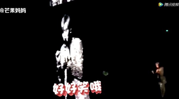 戴佩妮被吓傻、王菲成相声,说表情的明星演一回眸带笑爱心包表情图片