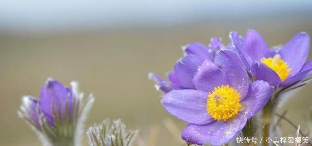 深度好文树立目标,向着目标冲刺!