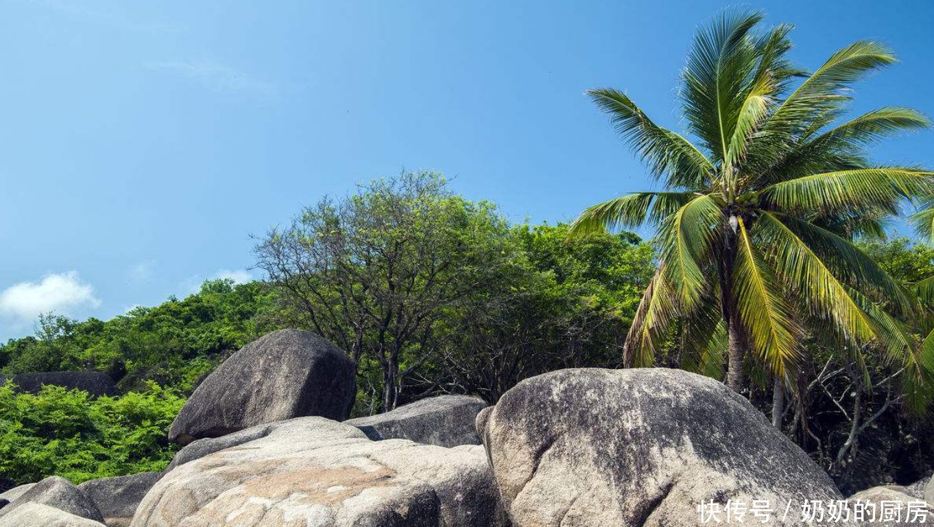 冬天去海南旅游,是不是最好的季节呢?看完你就