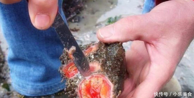 外国男子海边发现了一种可以吃的“石头”外表丑陋，里面却大有乾