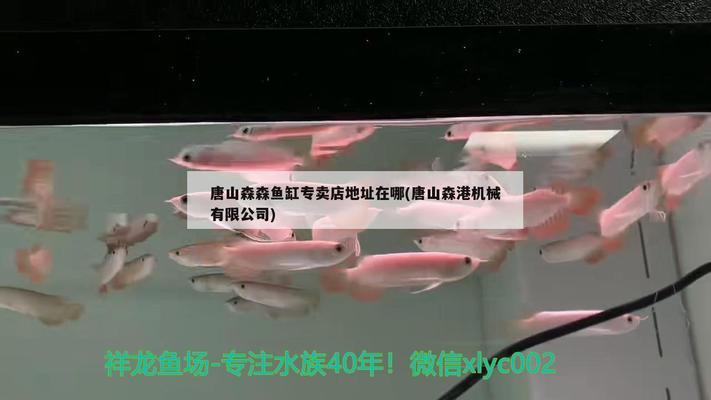 西寧魚缸清洗公司哪家好（西寧魚缸清洗公司哪家好一點(diǎn)）