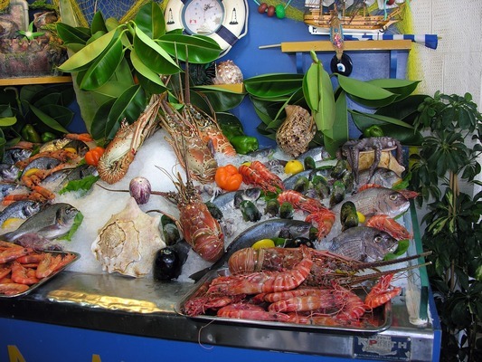 湛江市赤坎区龙汉堂水族馆（湛江市赤坎区龙汉堂水族馆电话）