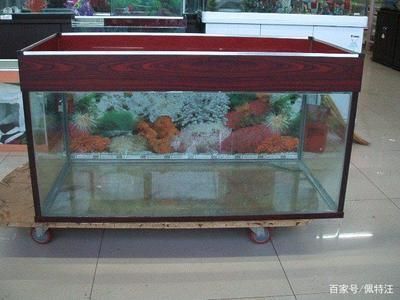 成都魚缸廠家直銷店在哪里有（成都魚缸廠家直銷店在哪里有賣）