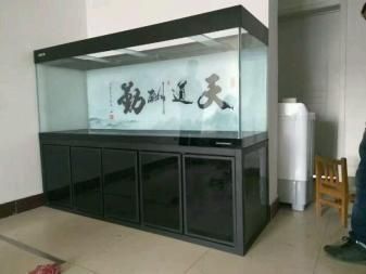 龍魚混養(yǎng)魚推薦品種有哪些好（龍魚混養(yǎng)龍魚）